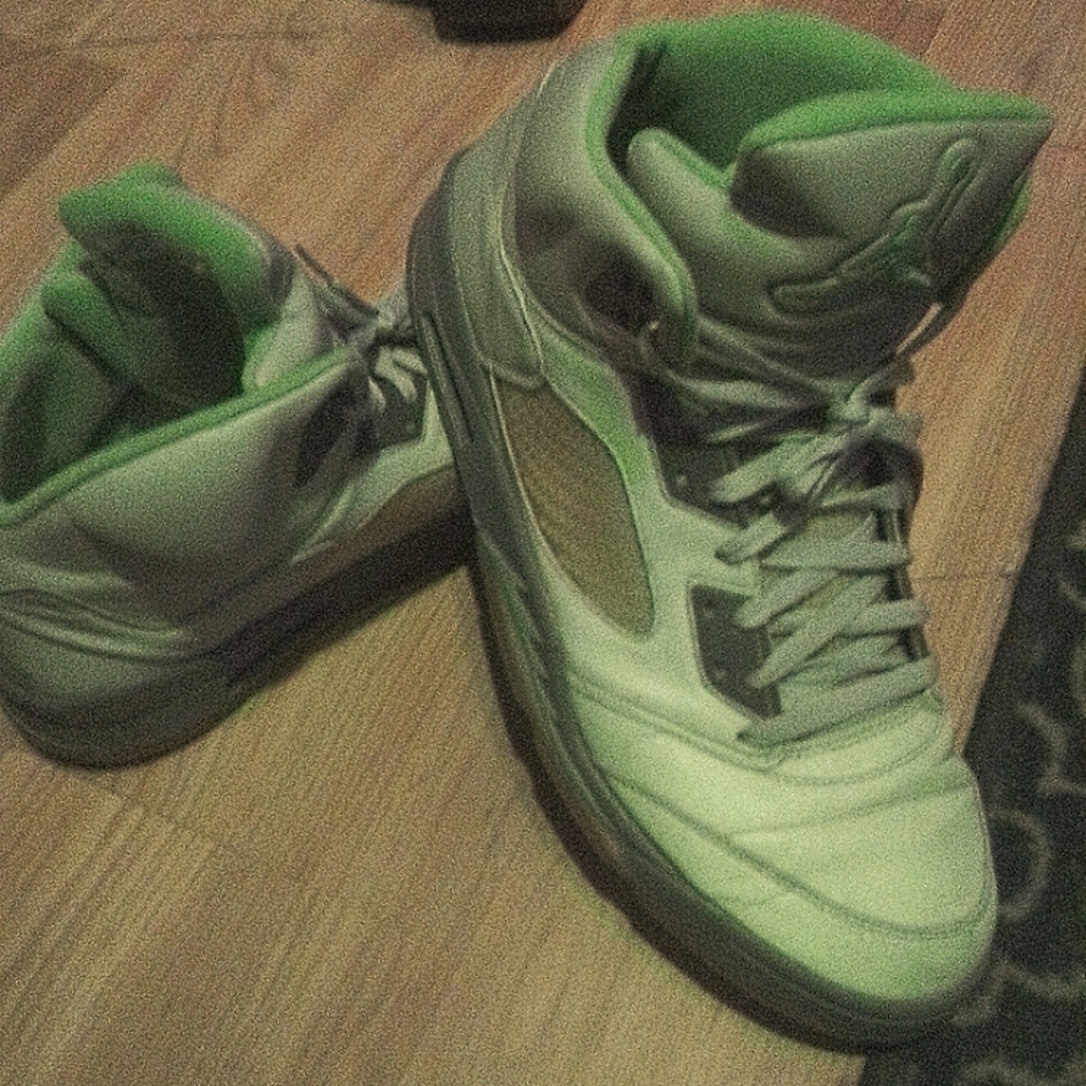 Michael Jordan 5's